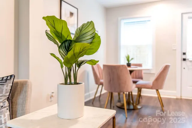 a view of a dining room with furniture a potted plant and wooden floor