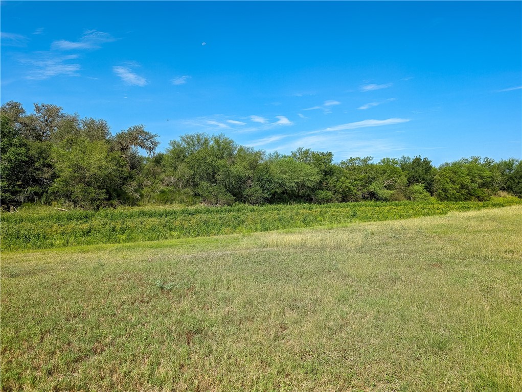 155 Buffalo Road George West, TX 78022 - Photo 39 of 39 a view of a field with an trees