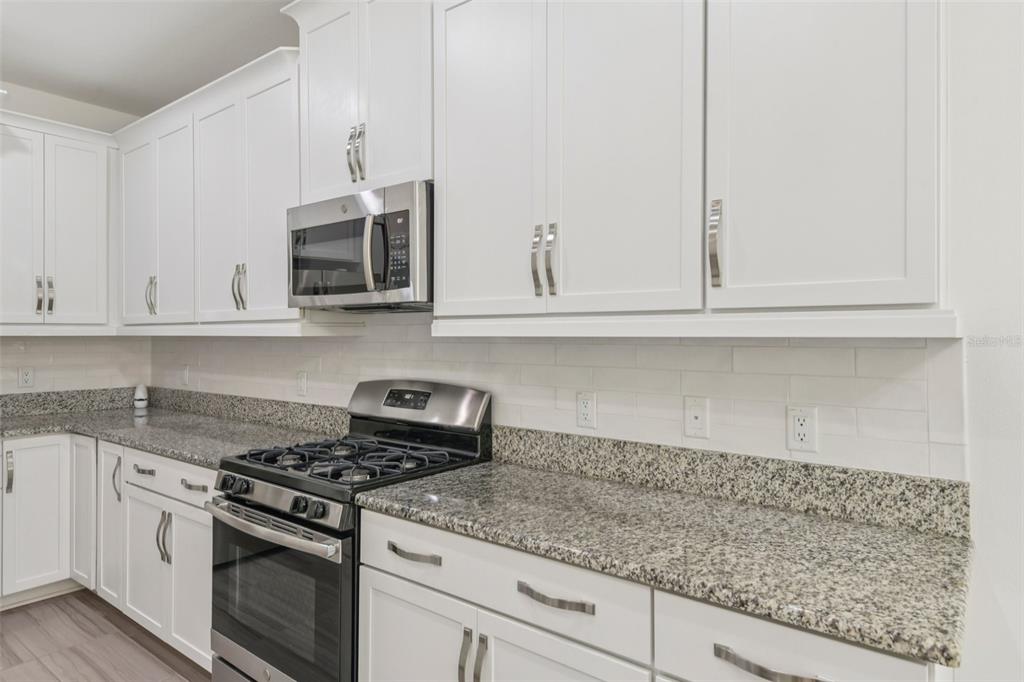 3982 Night Star Trail Odessa, FL 33556 - Photo 9 of 36