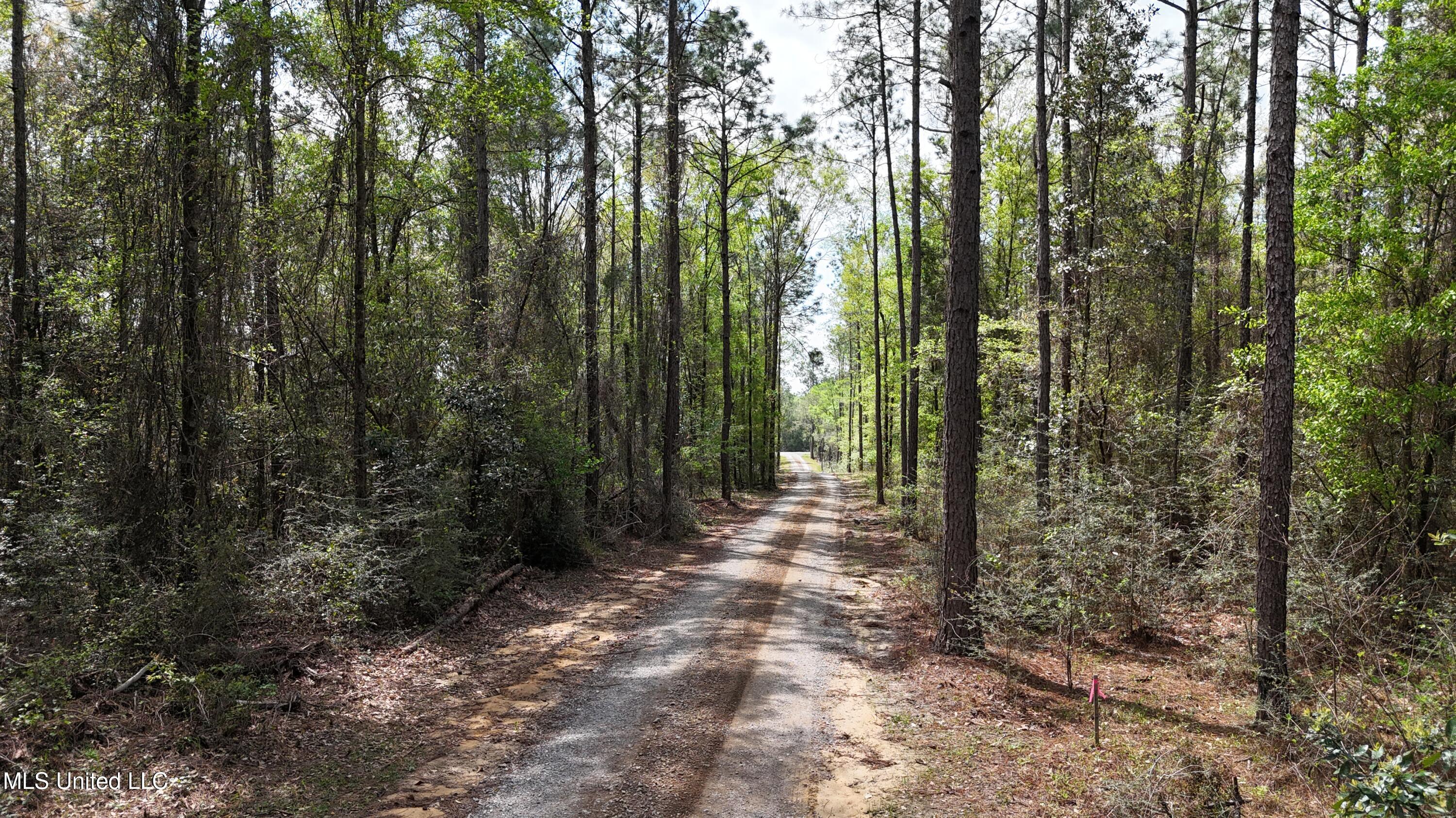7401 North Creek Road East Lucedale, MS 39452 - Photo 13 of 30 dji_fly_20250402_114202_0015_17436125650