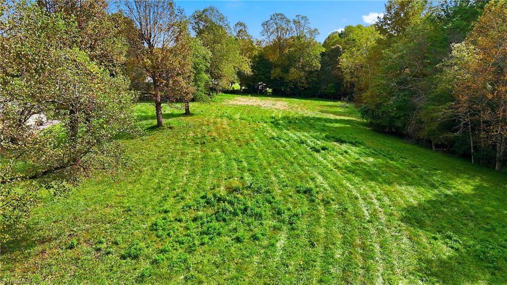 1167 New Hope Road Purlear, NC 28665 - Photo 45 of 50 Gallery Image 45