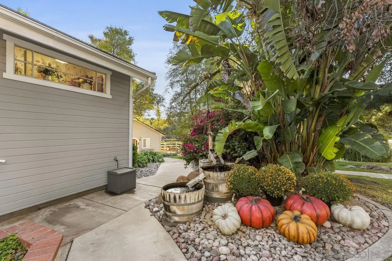 1728 Rancho Judith Alpine, CA 91901 - Photo 55 of 68 a view of a backyard with plants and a patio