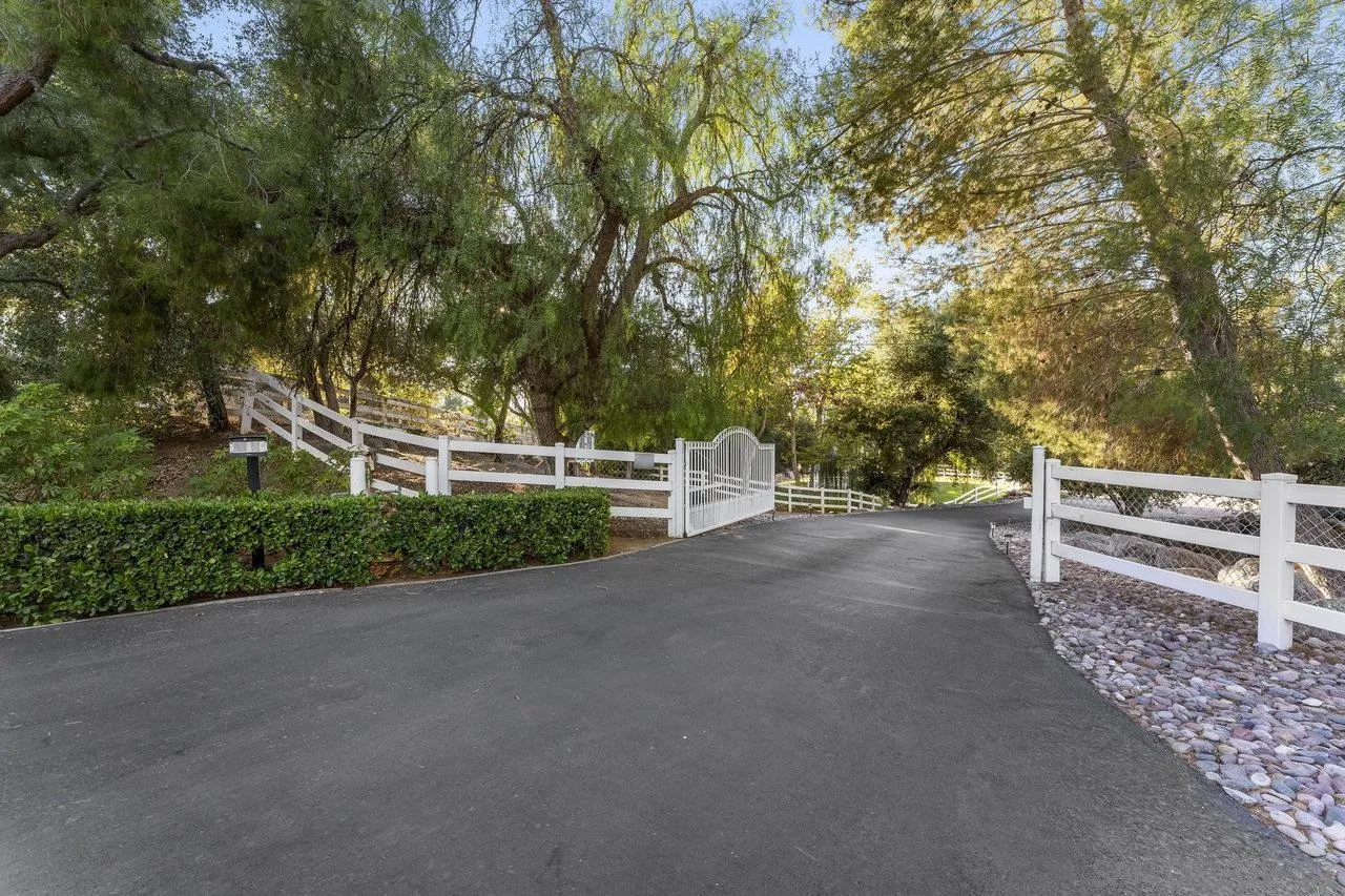 1728 Rancho Judith Alpine, CA 91901 - Photo 63 of 68 a view of a road with plants and large trees