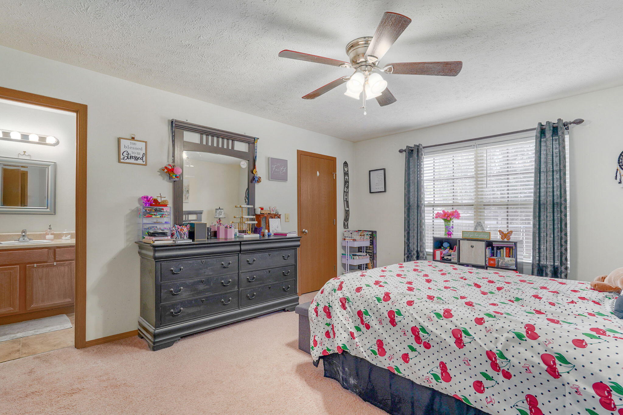 635 South Mahn Avenue Springfield, MO 65802 - Photo 7 of 24 635 S Mahn Ave-7