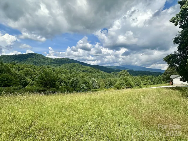 a view of outside green space