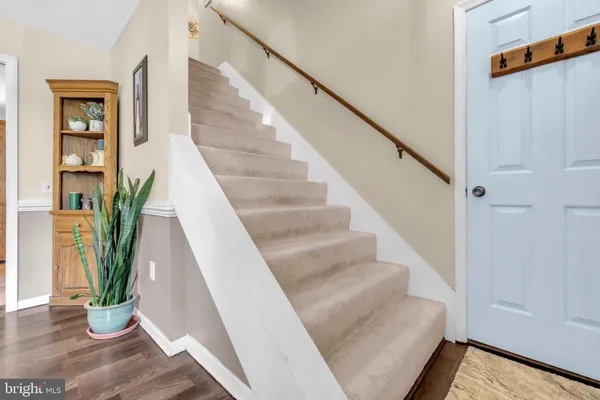a view of staircase with wooden floor and plant