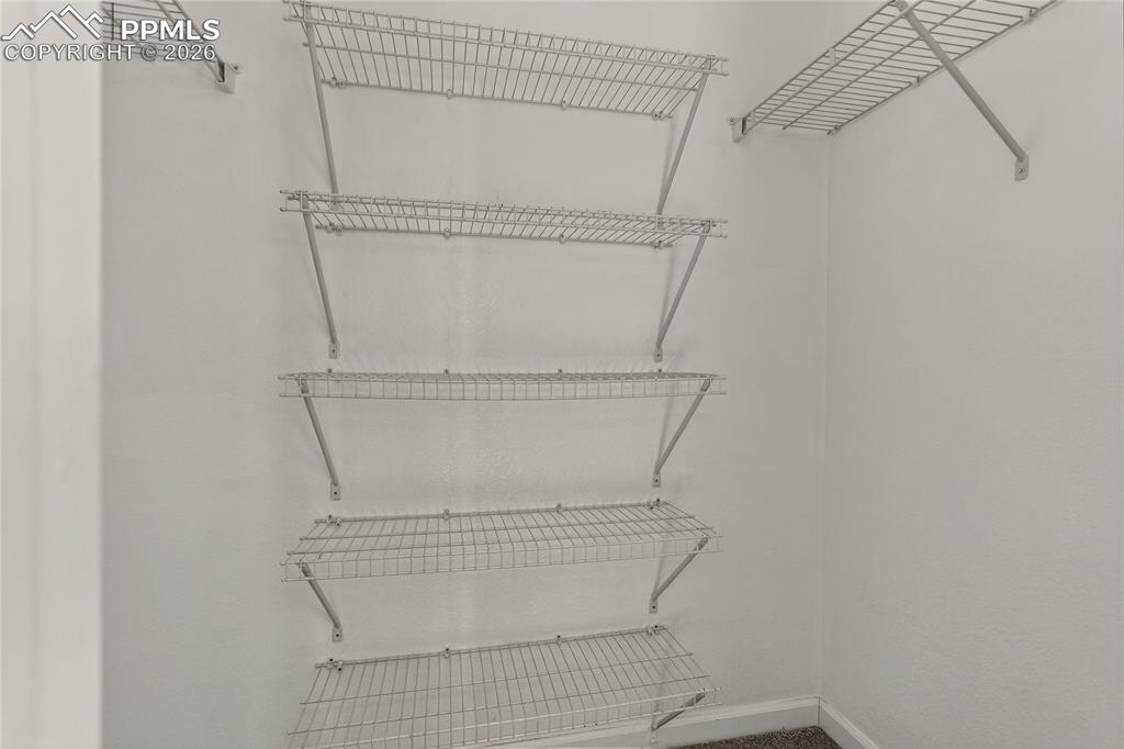 7682 Capel Point Peyton, CO 80831 - Photo 16 of 24 Primary walk-in closet