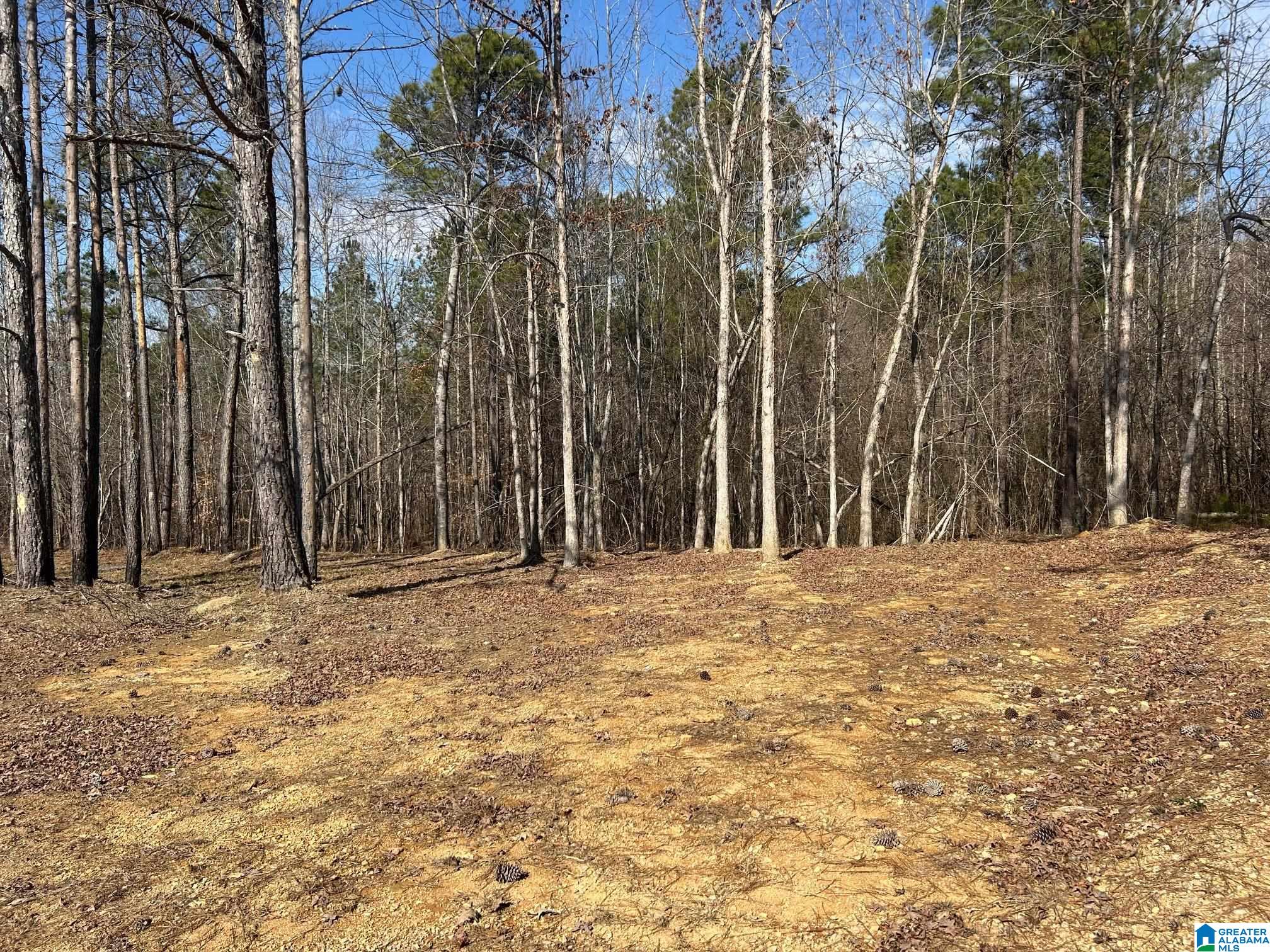 203 Pope Road Ohatchee, AL 36271 - Photo 26 of 31