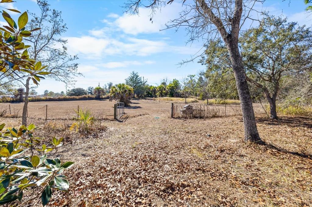 13205 Star Road Brooksville, FL 34613 - Photo 35 of 40 a view of a yard with lots of green space