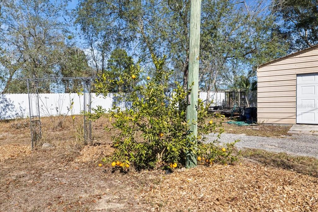13205 Star Road Brooksville, FL 34613 - Photo 36 of 40 a view of outdoor space and yard