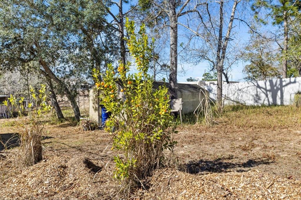 13205 Star Road Brooksville, FL 34613 - Photo 37 of 40 a view of a yard with large trees