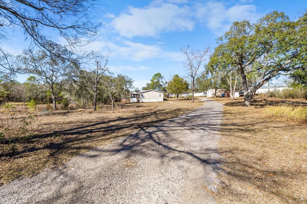 13205 Star Road Brooksville, FL 34613 - Photo 39 of 40 a view of dirt yard with a large tree