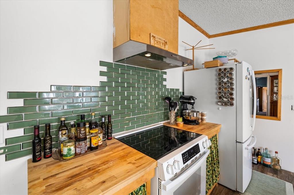 13205 Star Road Brooksville, FL 34613 - Photo 6 of 40 a utility room with multiple dryer and washer