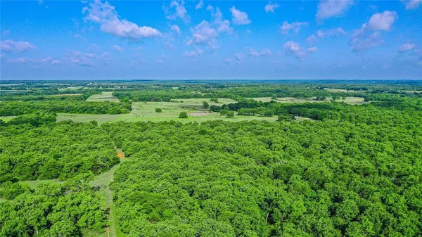 a view of a green field