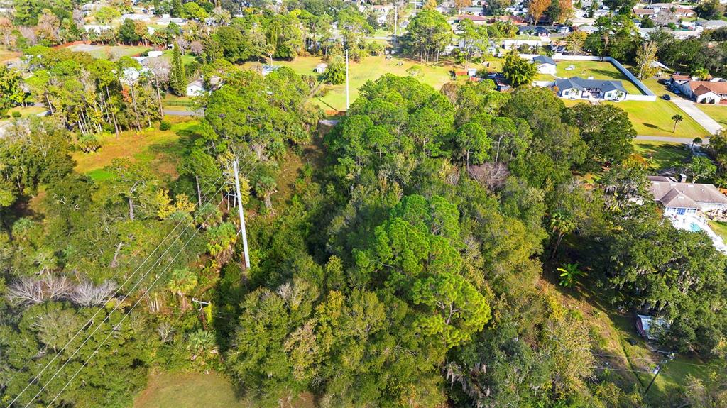 Pinedale Road Edgewater, FL 32132 - Photo 11 of 16 a view of a yard