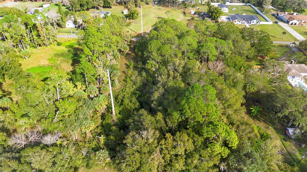 Pinedale Road Edgewater, FL 32132 - Photo 13 of 16 a view of a big yard