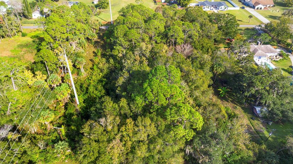 Pinedale Road Edgewater, FL 32132 - Photo 9 of 16 a view of a lush green forest