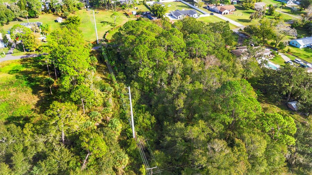 Pinedale Road Edgewater, FL 32132 - Photo 10 of 16 a view of a tree