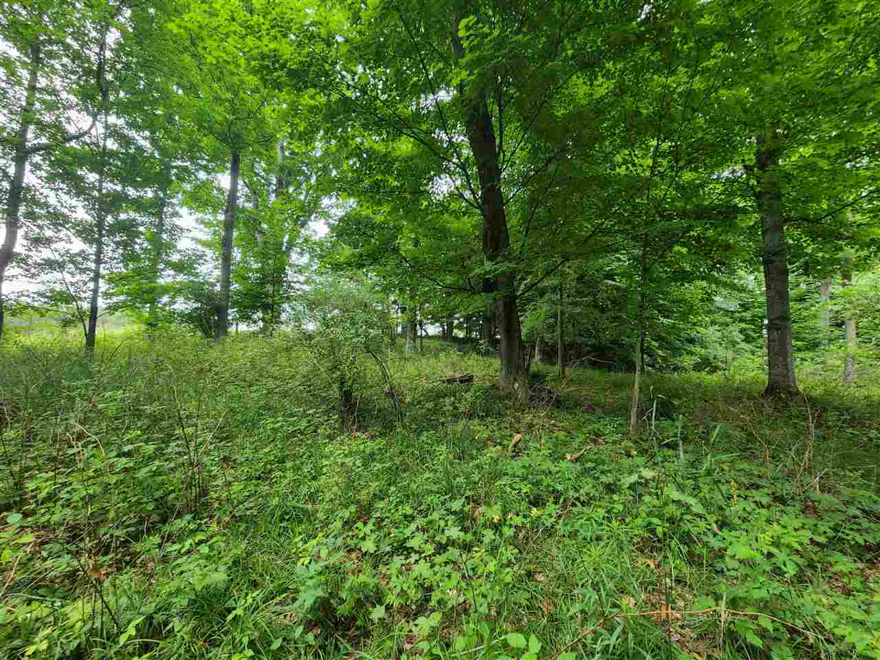 1 1 1 Mile Road White Cloud, MI 49349 - Photo 4 of 12