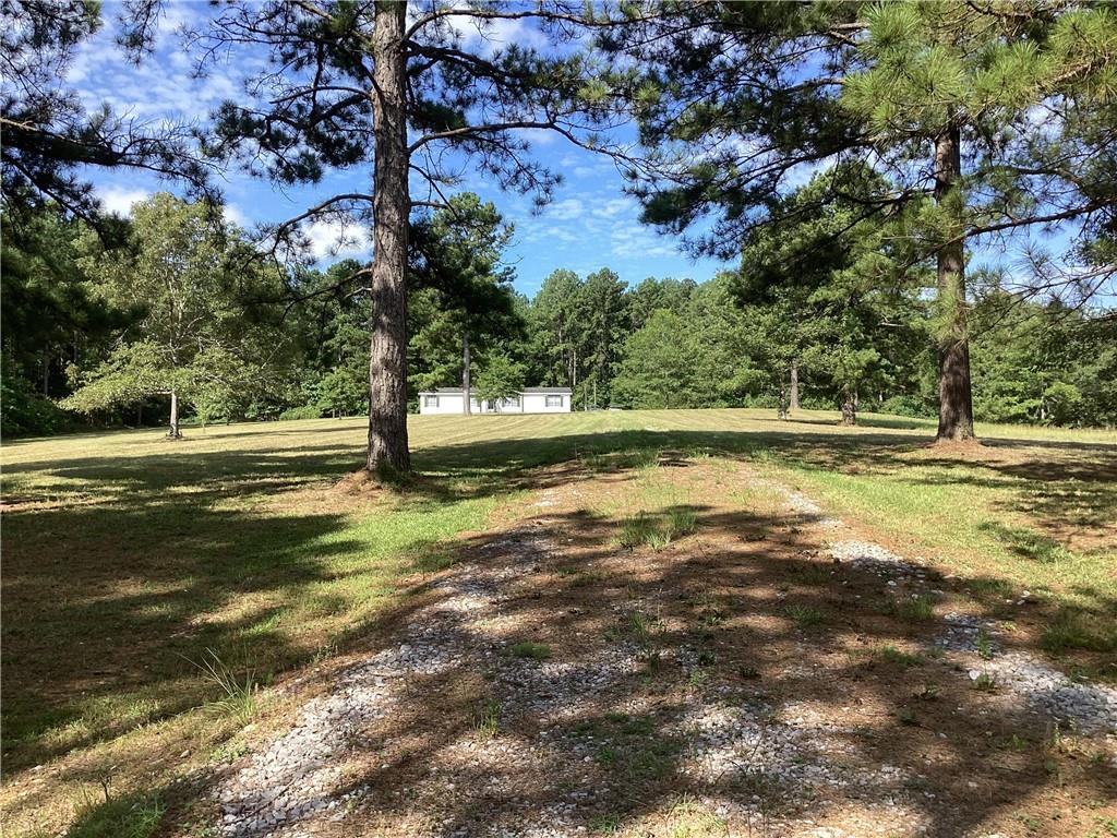 65 Lofton Cemetary Road Pineville, LA 71360 - Photo 12 of 25 Gallery Image 12