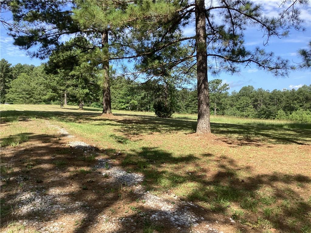 65 Lofton Cemetary Road Pineville, LA 71360 - Photo 13 of 25 Gallery Image 13