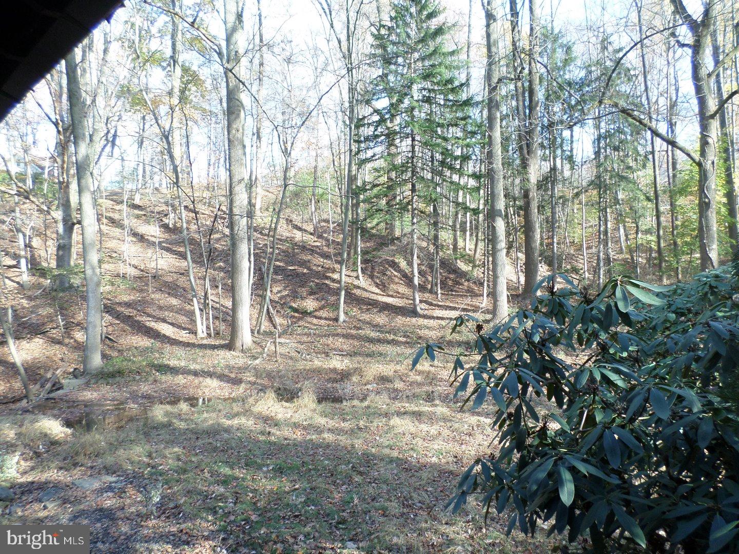 352 Reed Street Mohnton, PA 19540 - Photo 20 of 21 View in Back