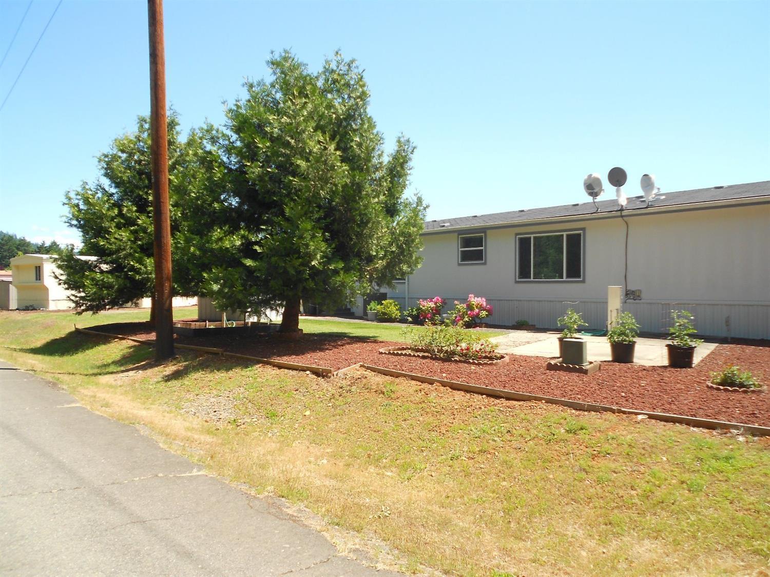 222 Ollis Road, Unit 7172 Cave Junction, OR 97523 - Photo 3 of 18 Real yard - easy landscaping. Small are