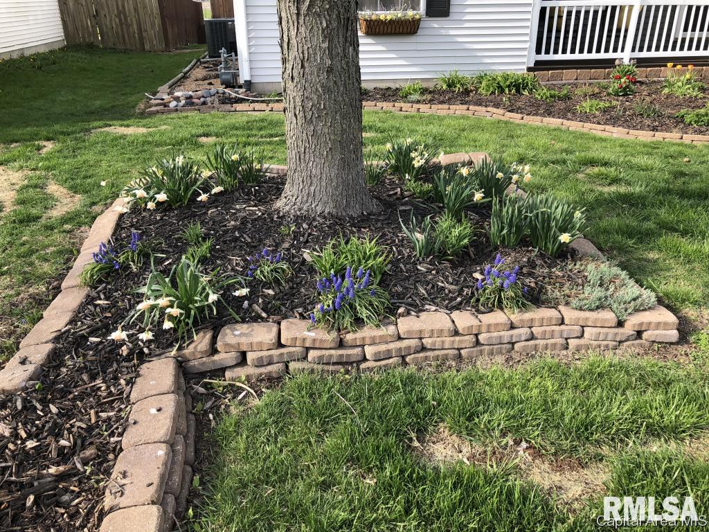 3921 McCormick Drive Springfield, IL 62707 - Photo 4 of 34