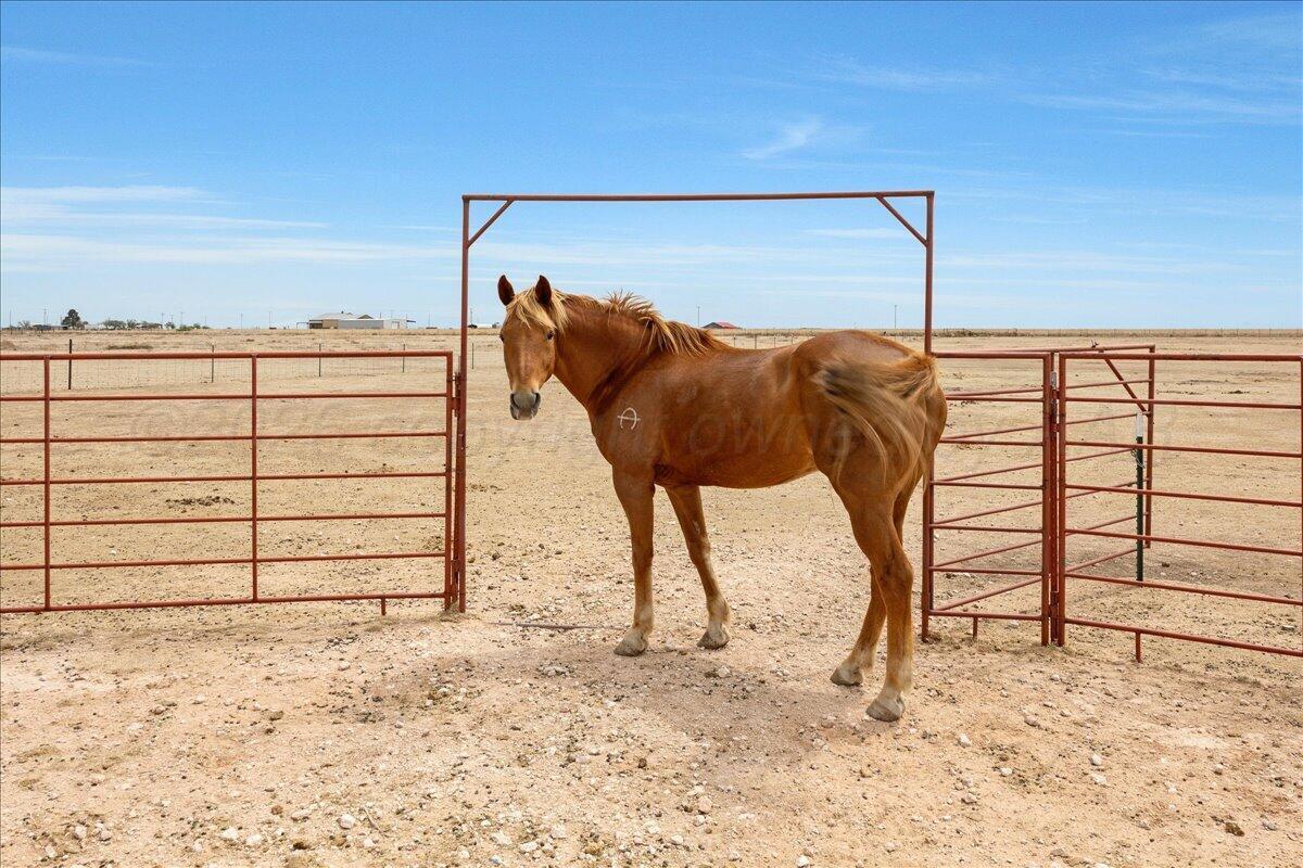 10551 Anderson Road Amarillo, TX 79118 - Photo 16 of 28 a view of a backyard of the house