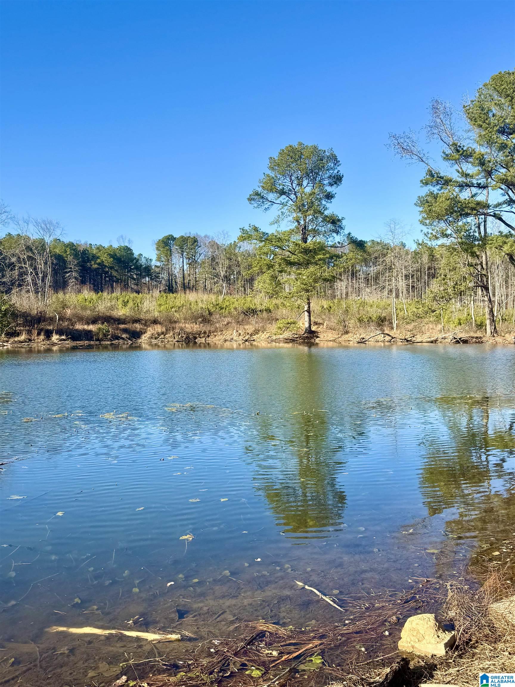 645 Skyview Lake Road Warrior, AL 35180 - Photo 8 of 53