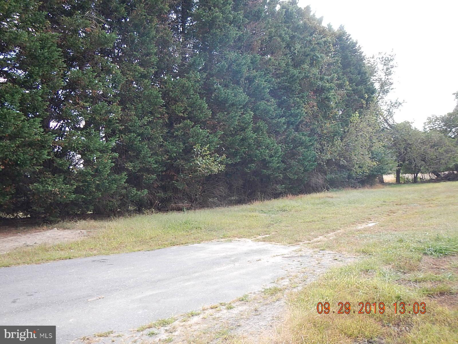 1729 Saddle Drive Gambrills, MD 21054 - Photo 5 of 47