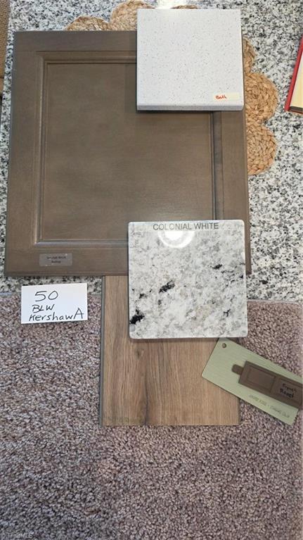 5097 Fallmeade Road Kernersville, NC 27284 - Photo 2 of 41 Color selections