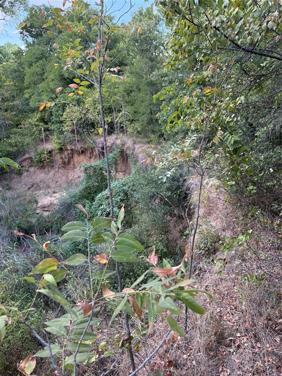 271 Wyatt Road Jacksboro, TX 76458 - Photo 36 of 40 Additional content