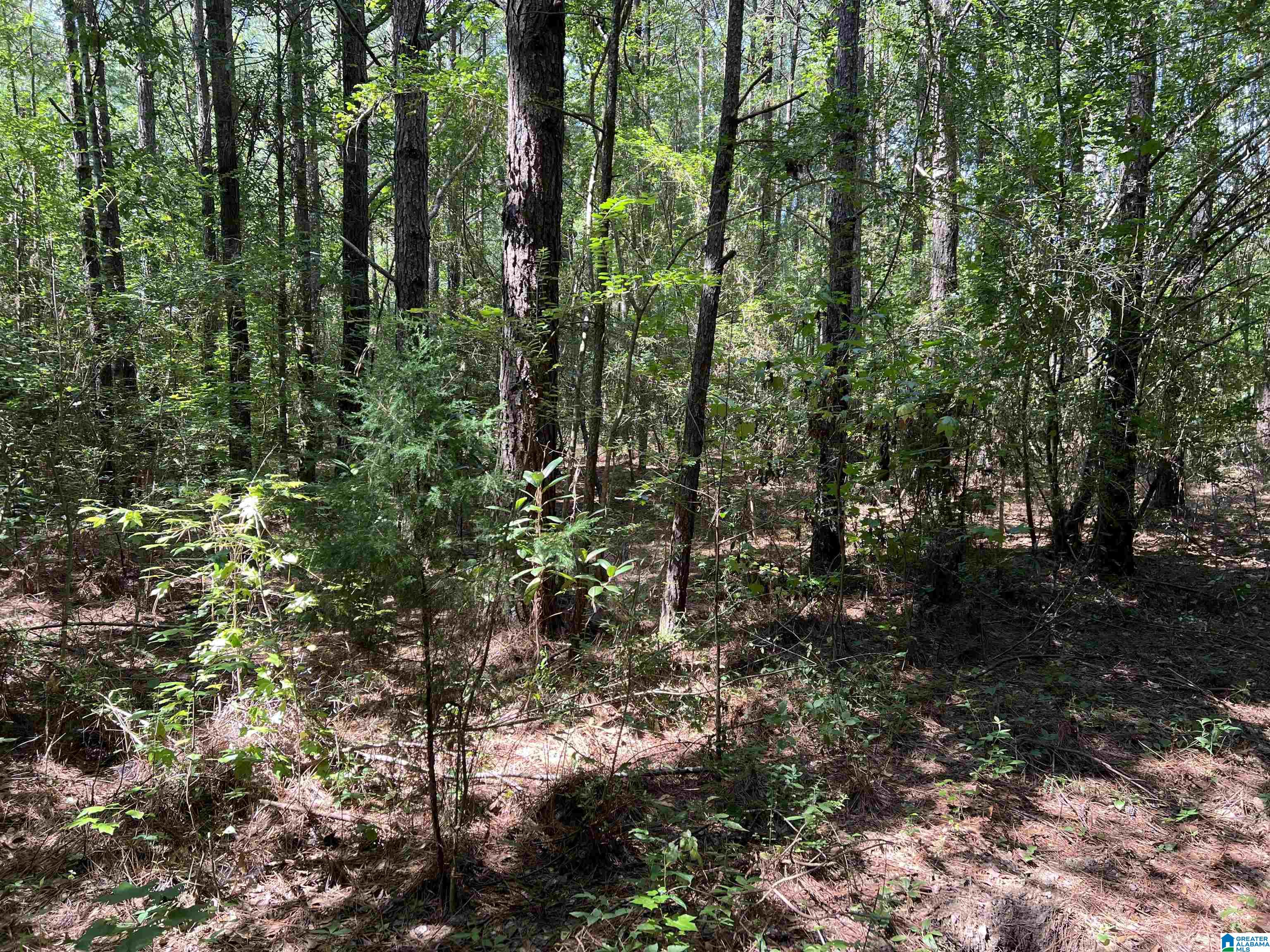 4440 Highway 22 Stanton, AL 36790 - Photo 6 of 7