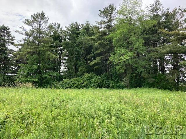 7000-blk Wadsworth Road Ottawa Lake, MI 49267 - Photo 1 of 2