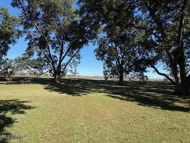 345 Simmons Road Clarksdale, MS 38614 - Photo 4 of 18 345 Simmons Rd acreage
