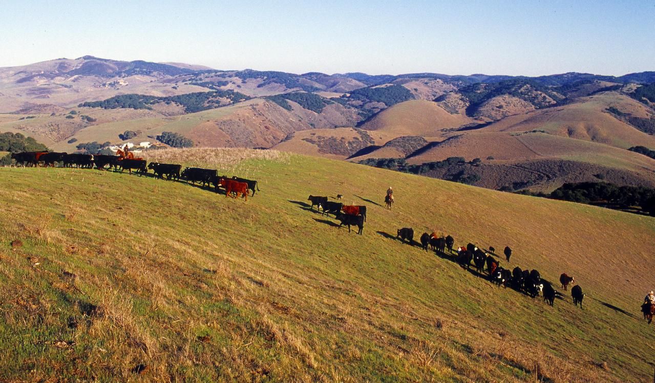0 Rancho El Cojo Lompoc Ca Lompoc, CA 93436 - Photo 5 of 15 an aerial view of residential house with an outdoor space