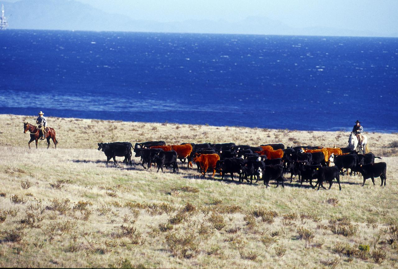0 Rancho El Cojo Lompoc Ca Lompoc, CA 93436 - Photo 10 of 15 view of a outdoor space