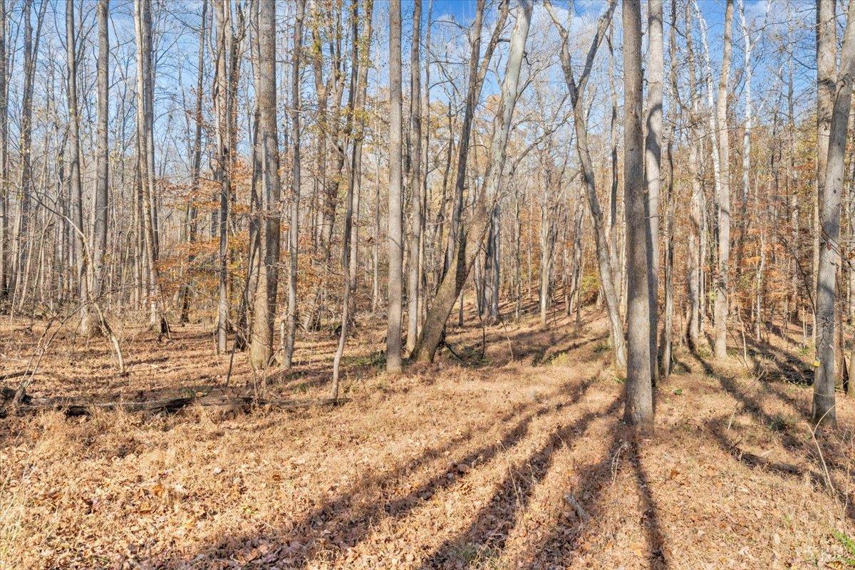 5050 Falkland Road Scottsburg, VA 24589 - Photo 70 of 97