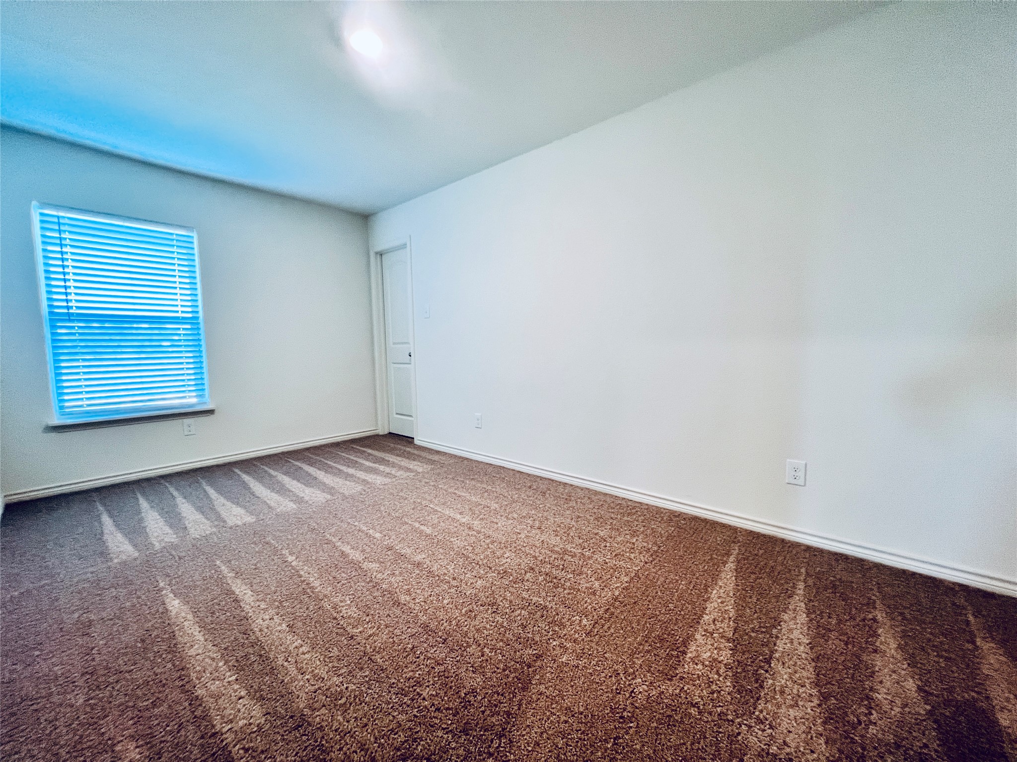 520 Locksley Cove Jarrell, TX 76537 - Photo 16 of 27 A well-lit bedroom features plush patterned carpeting and a window with blinds for privacy.