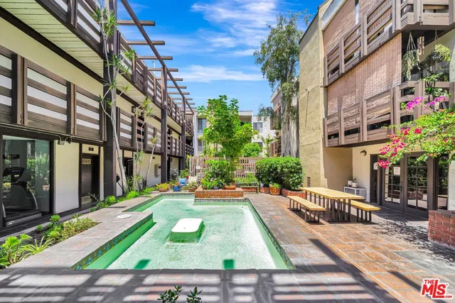 a view of a garden with plants