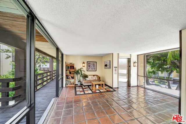 a view of a backyard with plants