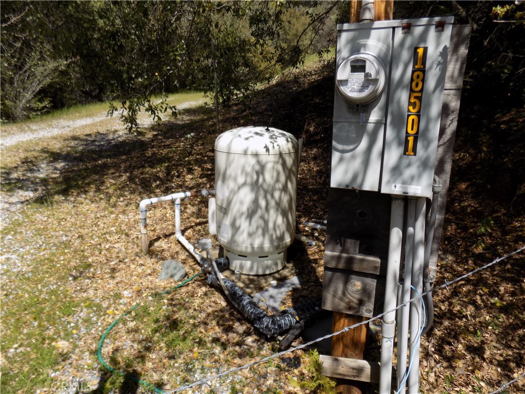 18501 Hale Road Volcano, CA 95689 - Photo 1 of 1 a picture of a tree in a park