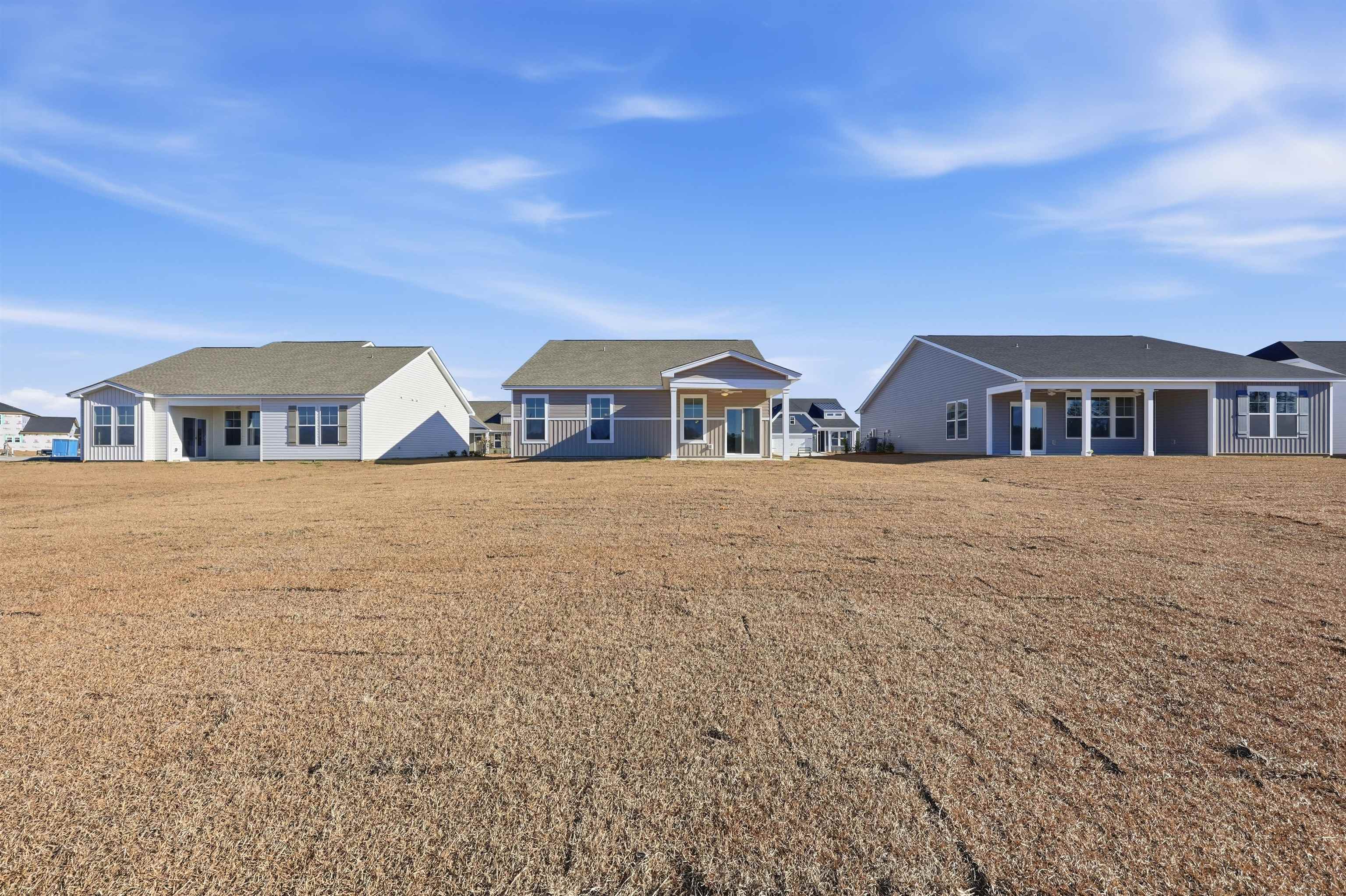 145 River Birch Drive Loris, SC 29569 - Photo 28 of 36 Rear view of property with a lawn