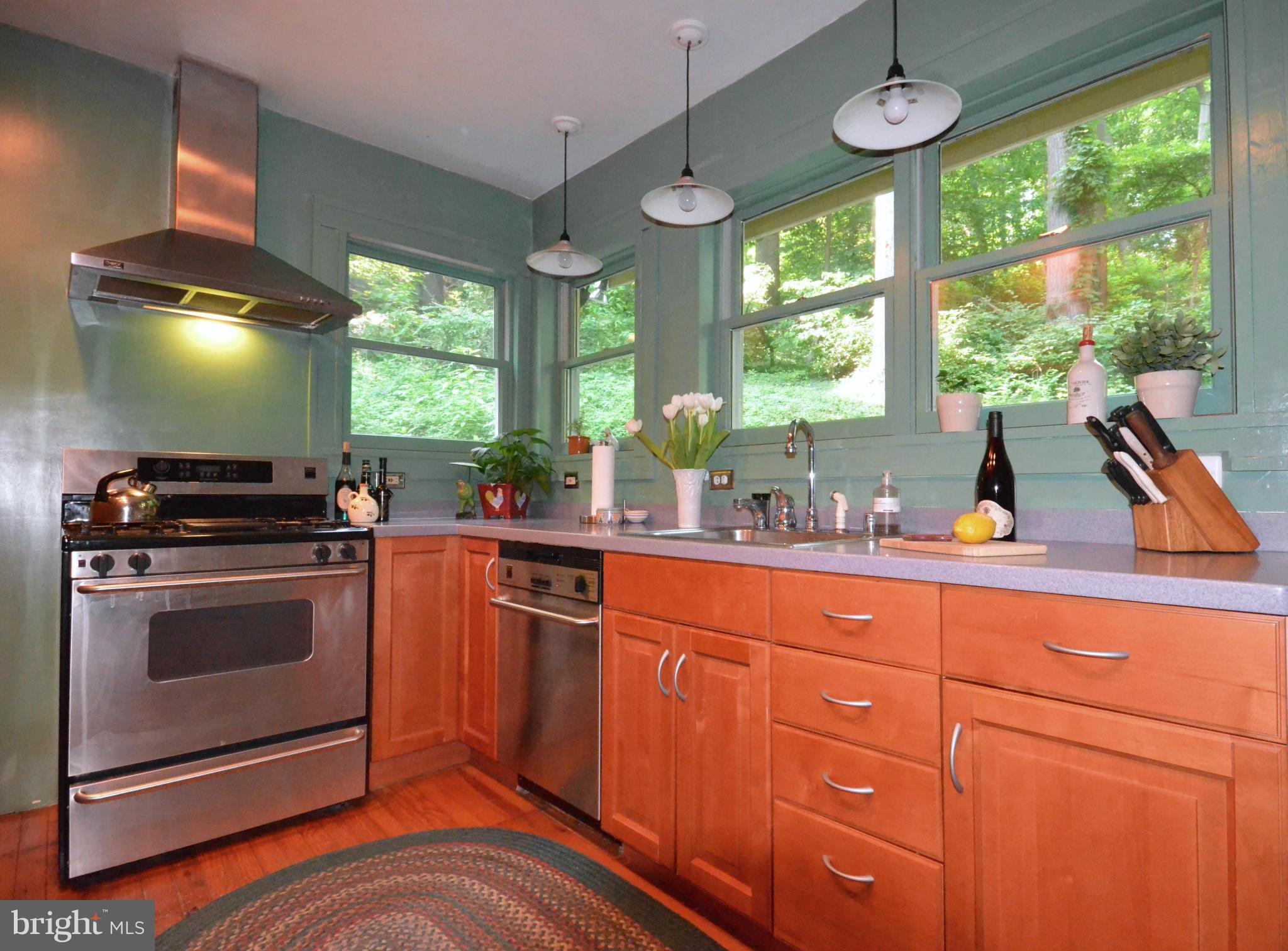 5 Merrymount Road Baltimore, MD 21210 - Photo 12 of 30 Kitchen