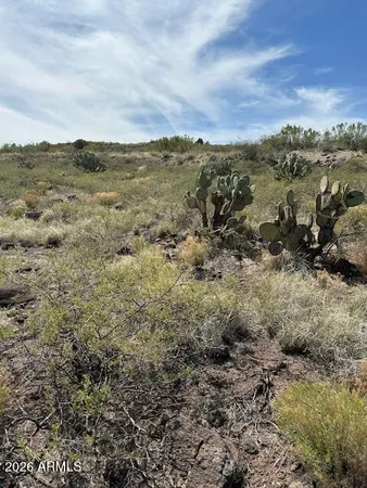a view of city and mountain