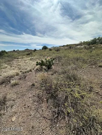 a view of a large body of water with lots of trees in the background