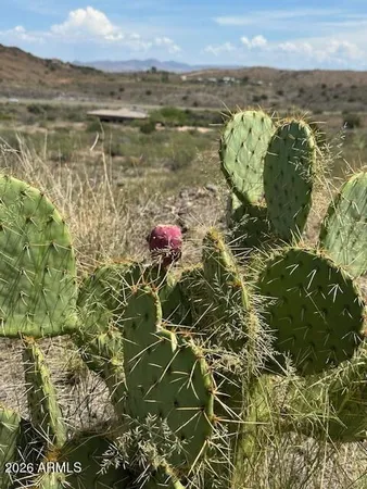 a view of a lake with a building in the background