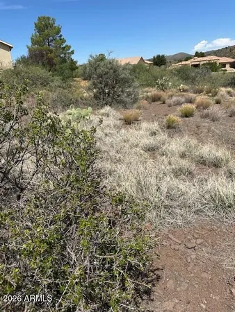 a view of a field with trees in background