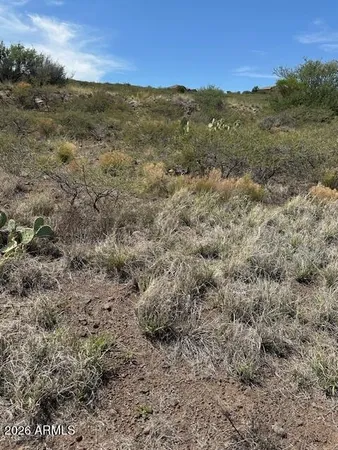 a view of a field with an ocean view